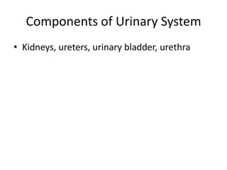 Components of Urinary System
• Kidneys, ureters, urinary bladder, urethra
 
