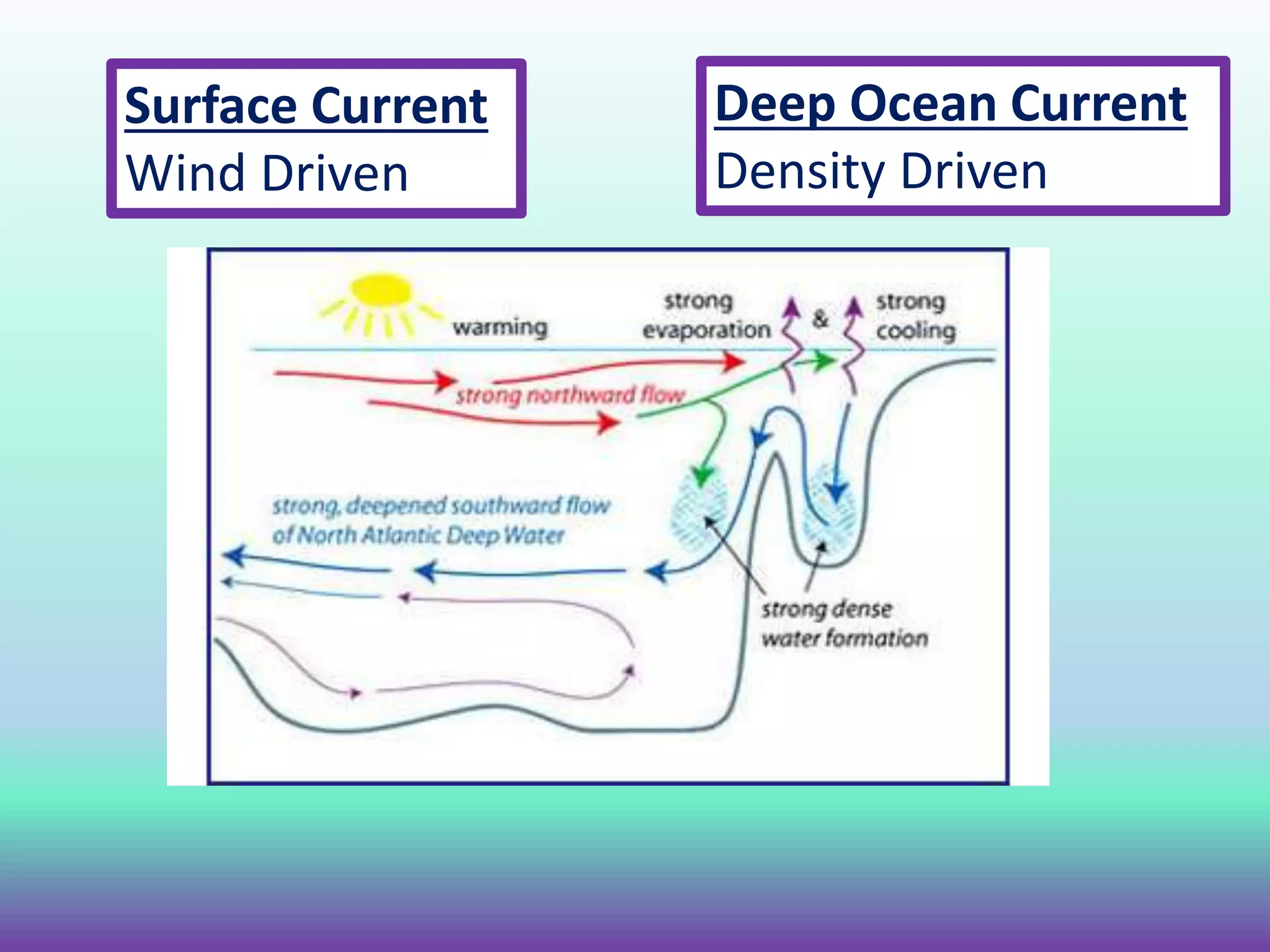 Surface Current
Wind Driven
Deep Ocean Current
Density Driven
 