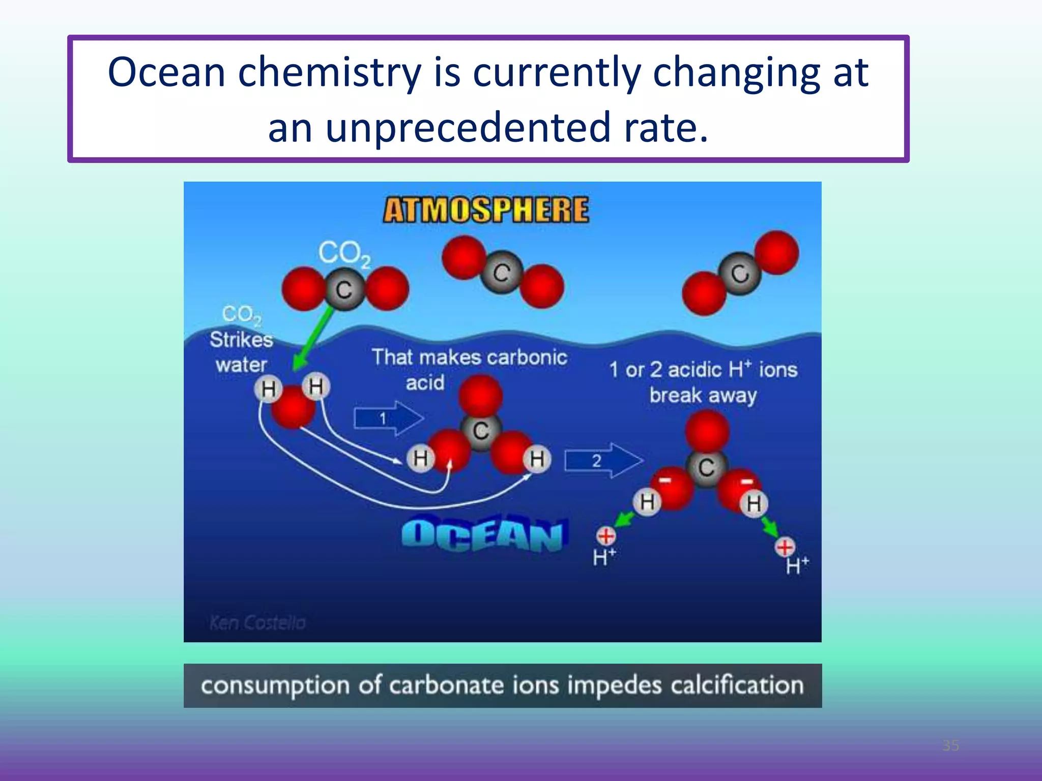 Ocean chemistry is currently changing at
an unprecedented rate.
35
 