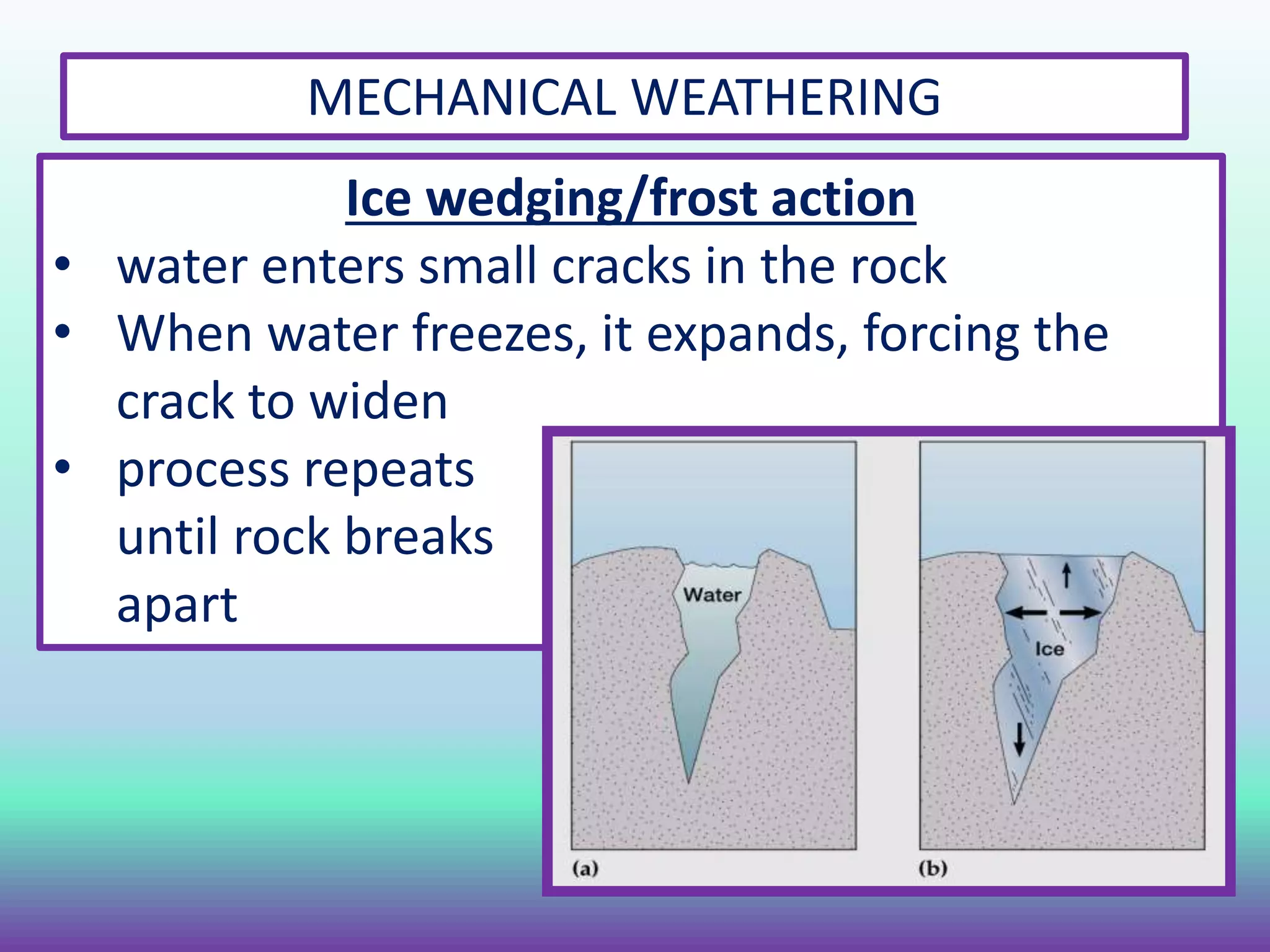 MECHANICAL WEATHERING
Ice wedging/frost action
• water enters small cracks in the rock
• When water freezes, it expands, forcing the
crack to widen
• process repeats
until rock breaks
apart
 