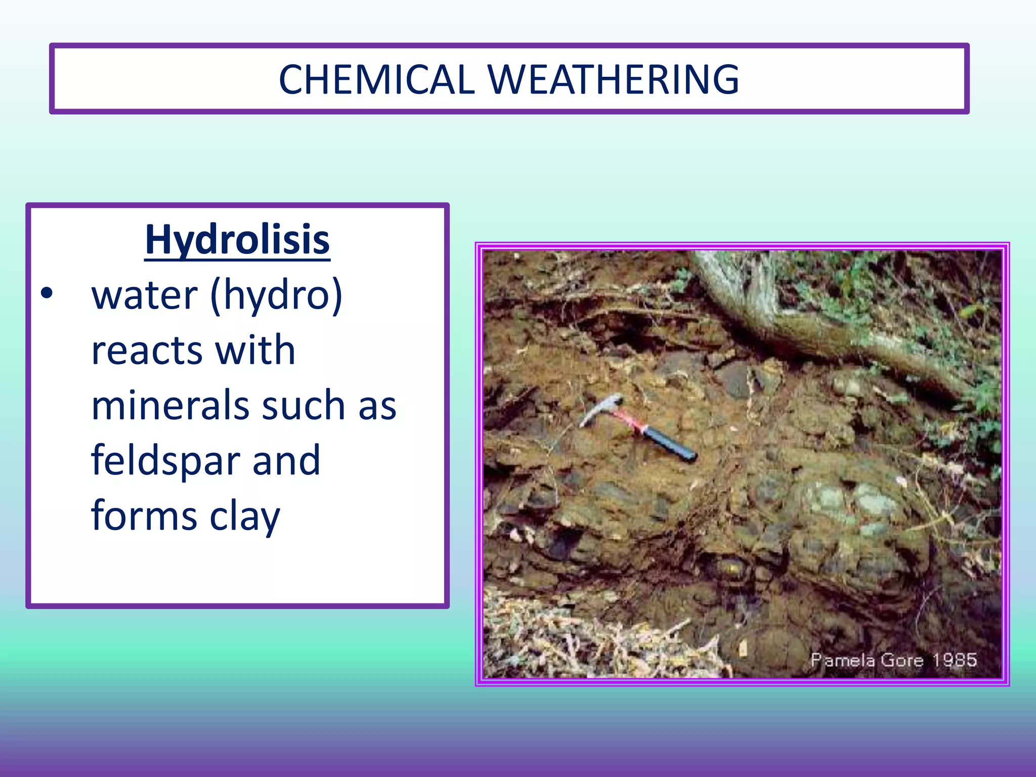 CHEMICAL WEATHERING
Hydrolisis
• water (hydro)
reacts with
minerals such as
feldspar and
forms clay
 