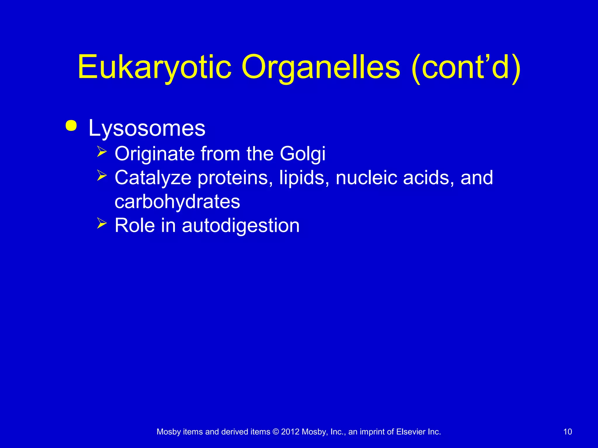 Mosby items and derived items © 2012 Mosby, Inc., an imprint of Elsevier Inc. 10
Eukaryotic Organelles (cont’d)
 Lysosomes
 Originate from the Golgi
 Catalyze proteins, lipids, nucleic acids, and
carbohydrates
 Role in autodigestion
 