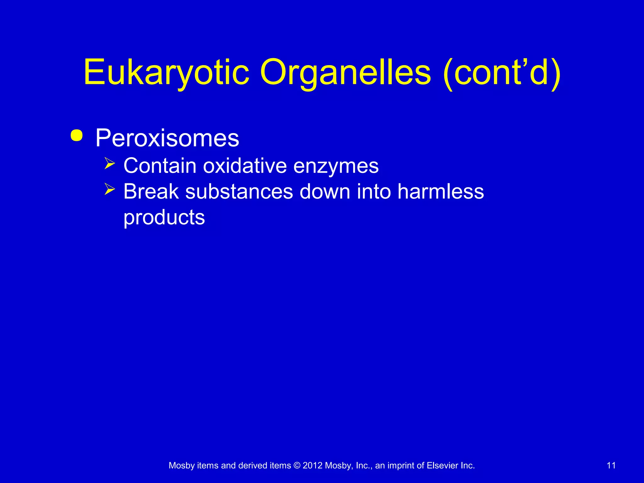 Mosby items and derived items © 2012 Mosby, Inc., an imprint of Elsevier Inc. 11
Eukaryotic Organelles (cont’d)
 Peroxisomes
 Contain oxidative enzymes
 Break substances down into harmless
products
 