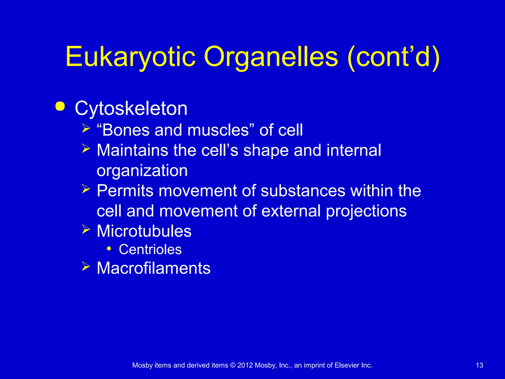 Mosby items and derived items © 2012 Mosby, Inc., an imprint of Elsevier Inc. 13
Eukaryotic Organelles (cont’d)
 Cytoskeleton
 “Bones and muscles” of cell
 Maintains the cell’s shape and internal
organization
 Permits movement of substances within the
cell and movement of external projections
 Microtubules
• Centrioles
 Macrofilaments
 