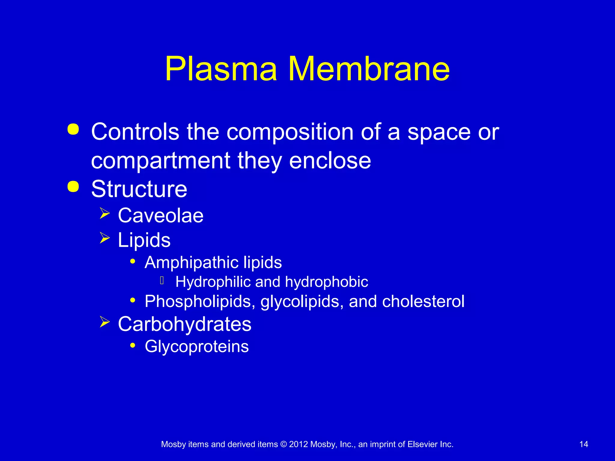 Mosby items and derived items © 2012 Mosby, Inc., an imprint of Elsevier Inc. 14
Plasma Membrane
 Controls the composition of a space or
compartment they enclose
 Structure
 Caveolae
 Lipids
• Amphipathic lipids
 Hydrophilic and hydrophobic
• Phospholipids, glycolipids, and cholesterol
 Carbohydrates
• Glycoproteins
 