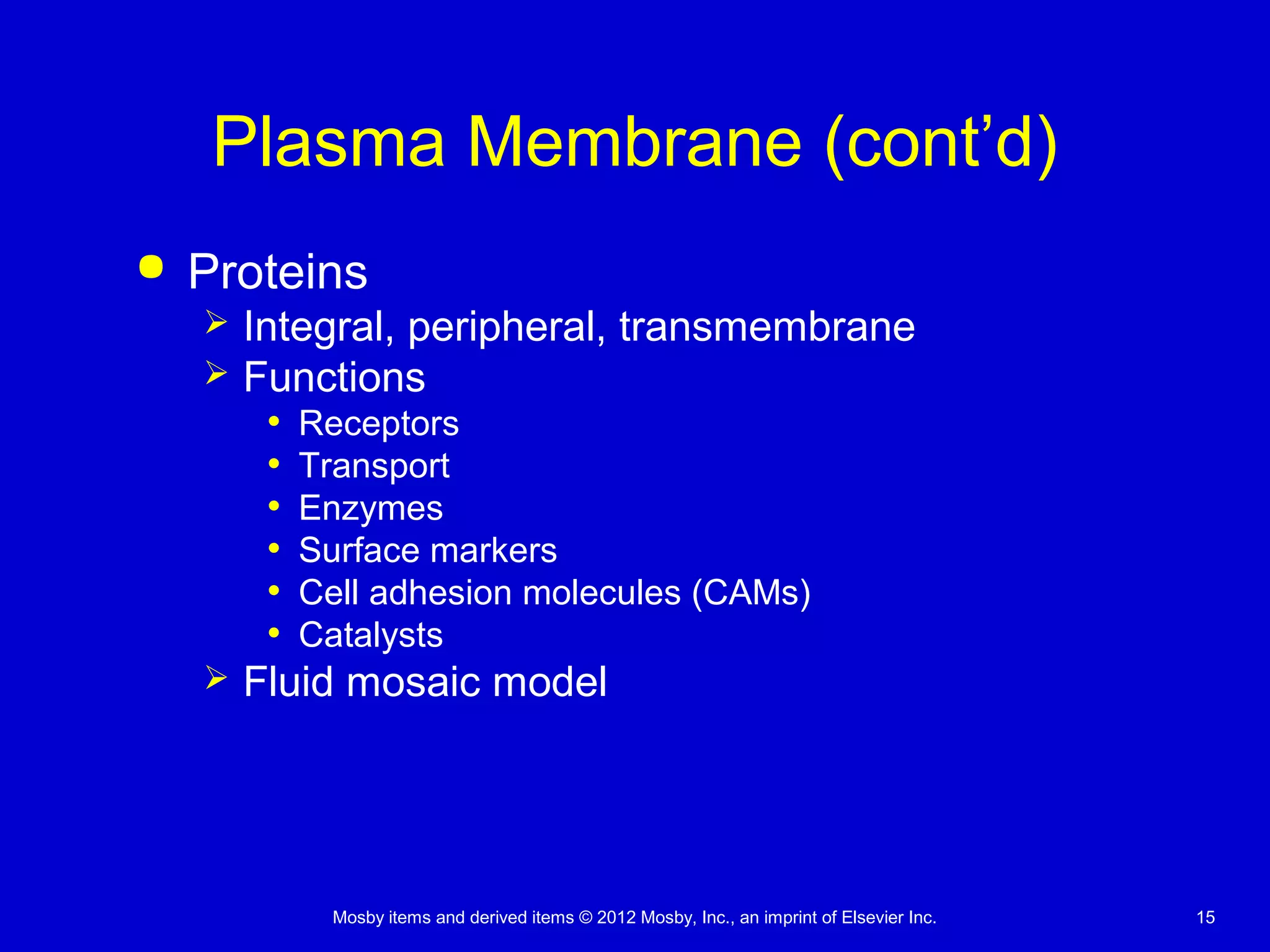 Mosby items and derived items © 2012 Mosby, Inc., an imprint of Elsevier Inc. 15
Plasma Membrane (cont’d)
 Proteins
 Integral, peripheral, transmembrane
 Functions
• Receptors
• Transport
• Enzymes
• Surface markers
• Cell adhesion molecules (CAMs)
• Catalysts
 Fluid mosaic model
 