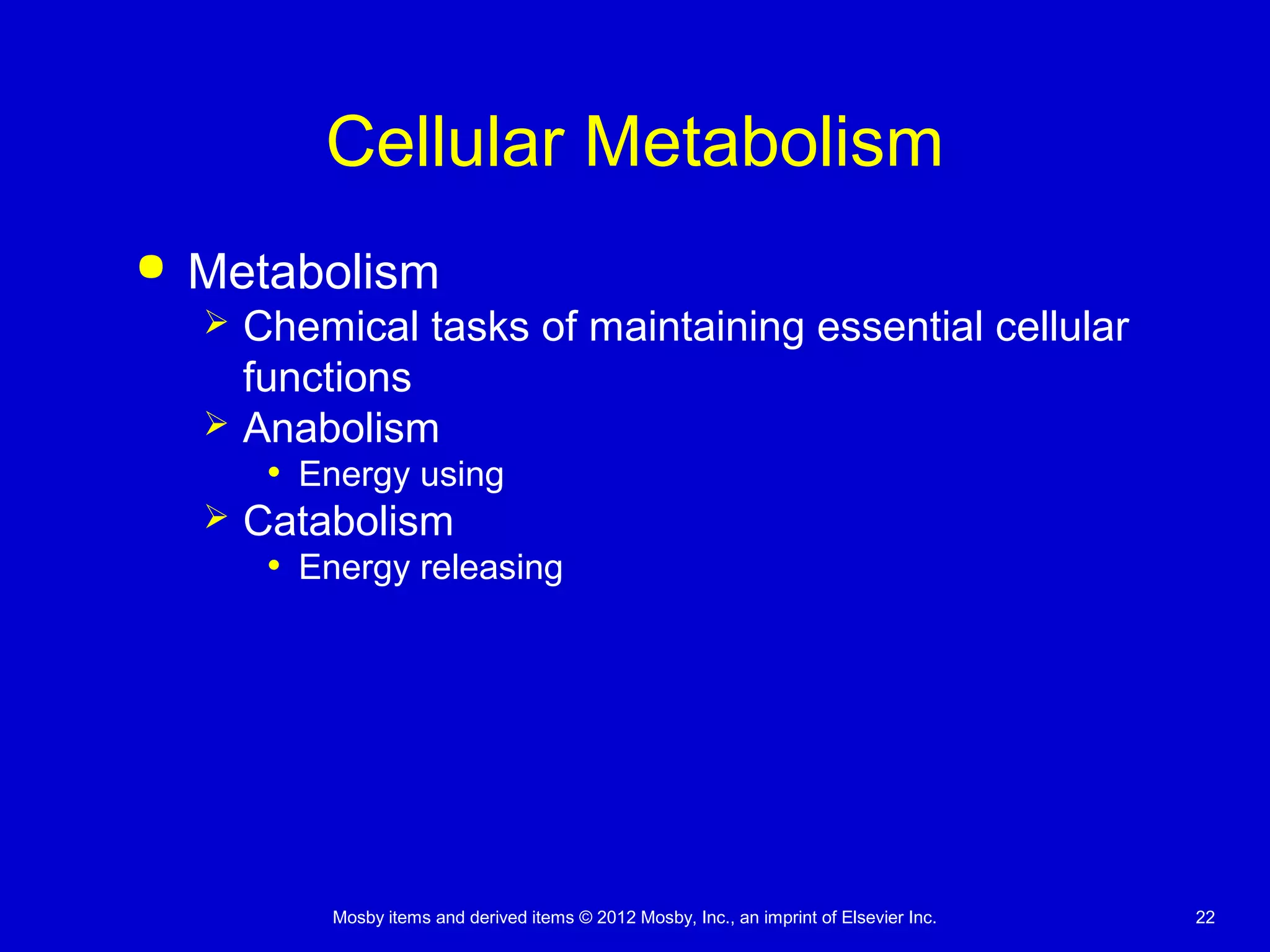 Mosby items and derived items © 2012 Mosby, Inc., an imprint of Elsevier Inc. 22
Cellular Metabolism
 Metabolism
 Chemical tasks of maintaining essential cellular
functions
 Anabolism
• Energy using
 Catabolism
• Energy releasing
 