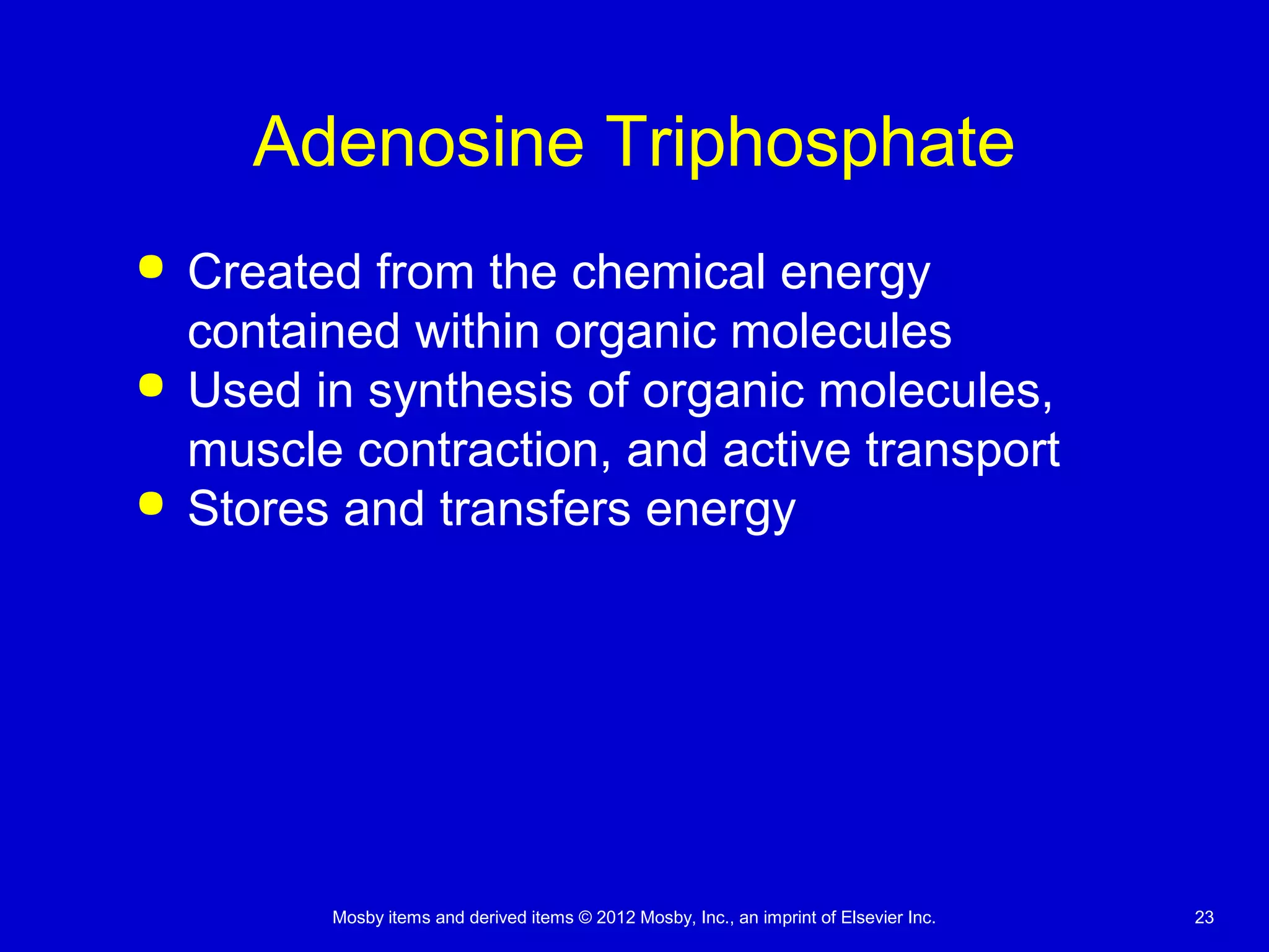 Mosby items and derived items © 2012 Mosby, Inc., an imprint of Elsevier Inc. 23
Adenosine Triphosphate
 Created from the chemical energy
contained within organic molecules
 Used in synthesis of organic molecules,
muscle contraction, and active transport
 Stores and transfers energy
 