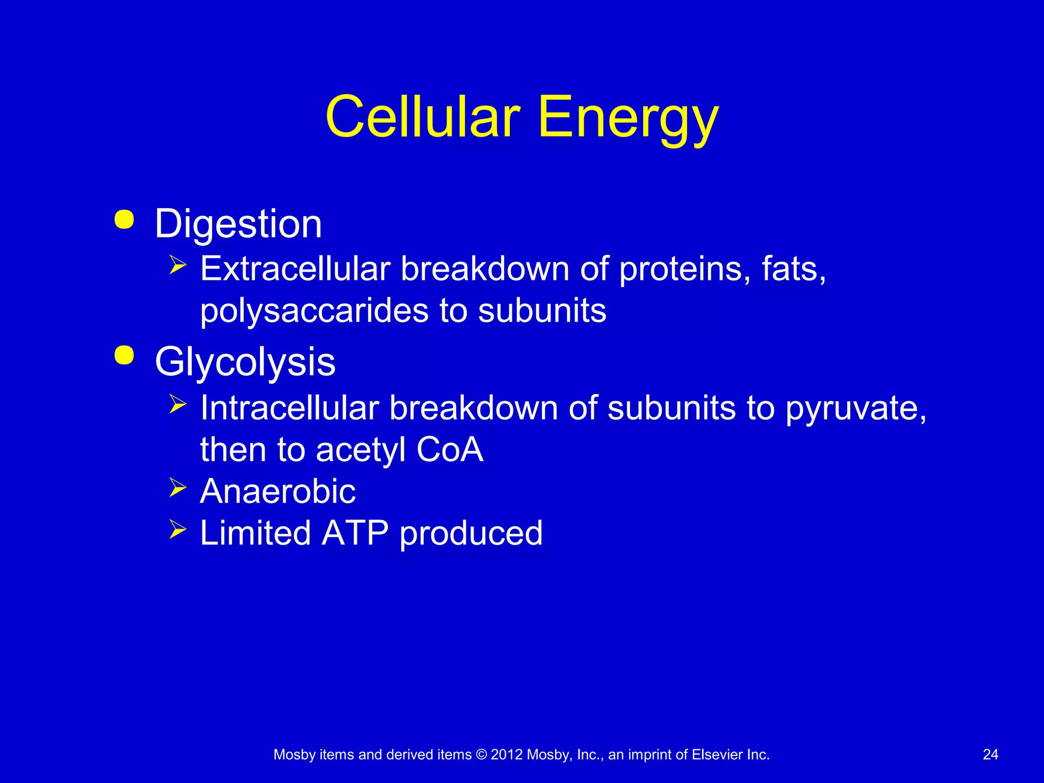 Mosby items and derived items © 2012 Mosby, Inc., an imprint of Elsevier Inc. 24
Cellular Energy
 Digestion
 Extracellular breakdown of proteins, fats,
polysaccarides to subunits
 Glycolysis
 Intracellular breakdown of subunits to pyruvate,
then to acetyl CoA
 Anaerobic
 Limited ATP produced
 