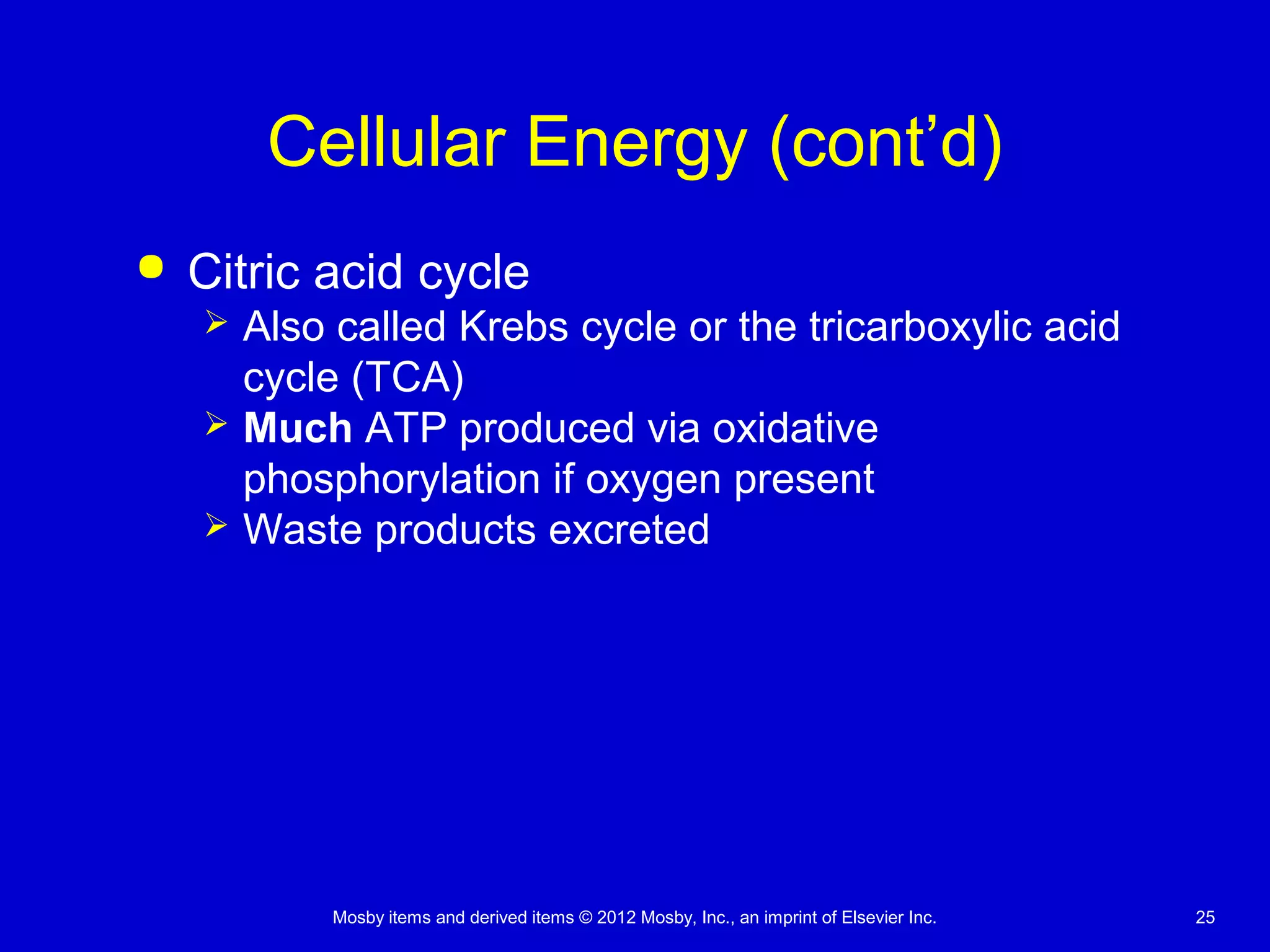 Mosby items and derived items © 2012 Mosby, Inc., an imprint of Elsevier Inc. 25
Cellular Energy (cont’d)
 Citric acid cycle
 Also called Krebs cycle or the tricarboxylic acid
cycle (TCA)
 Much ATP produced via oxidative
phosphorylation if oxygen present
 Waste products excreted
 