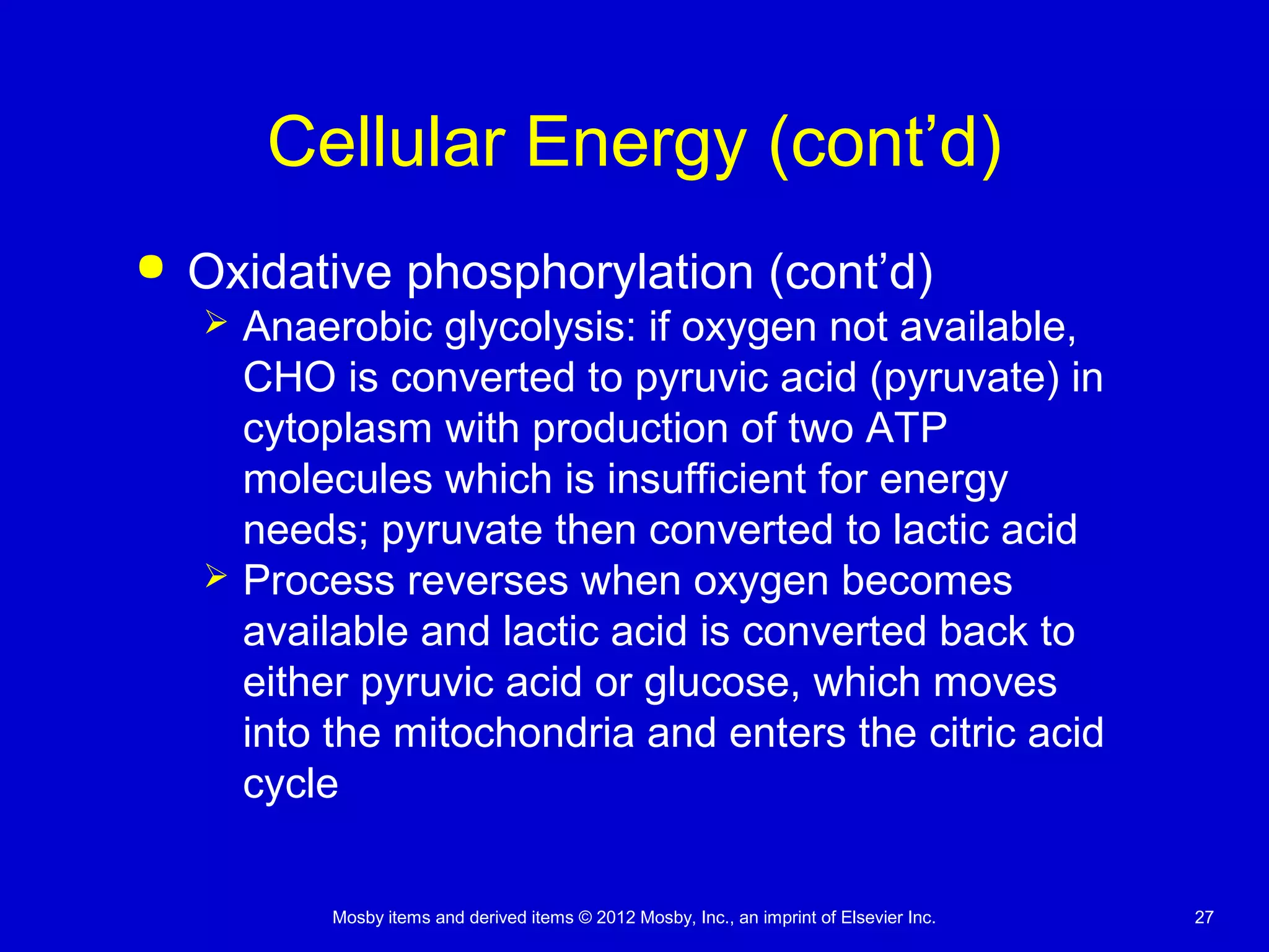 Mosby items and derived items © 2012 Mosby, Inc., an imprint of Elsevier Inc. 27
Cellular Energy (cont’d)
 Oxidative phosphorylation (cont’d)
 Anaerobic glycolysis: if oxygen not available,
CHO is converted to pyruvic acid (pyruvate) in
cytoplasm with production of two ATP
molecules which is insufficient for energy
needs; pyruvate then converted to lactic acid
 Process reverses when oxygen becomes
available and lactic acid is converted back to
either pyruvic acid or glucose, which moves
into the mitochondria and enters the citric acid
cycle
 