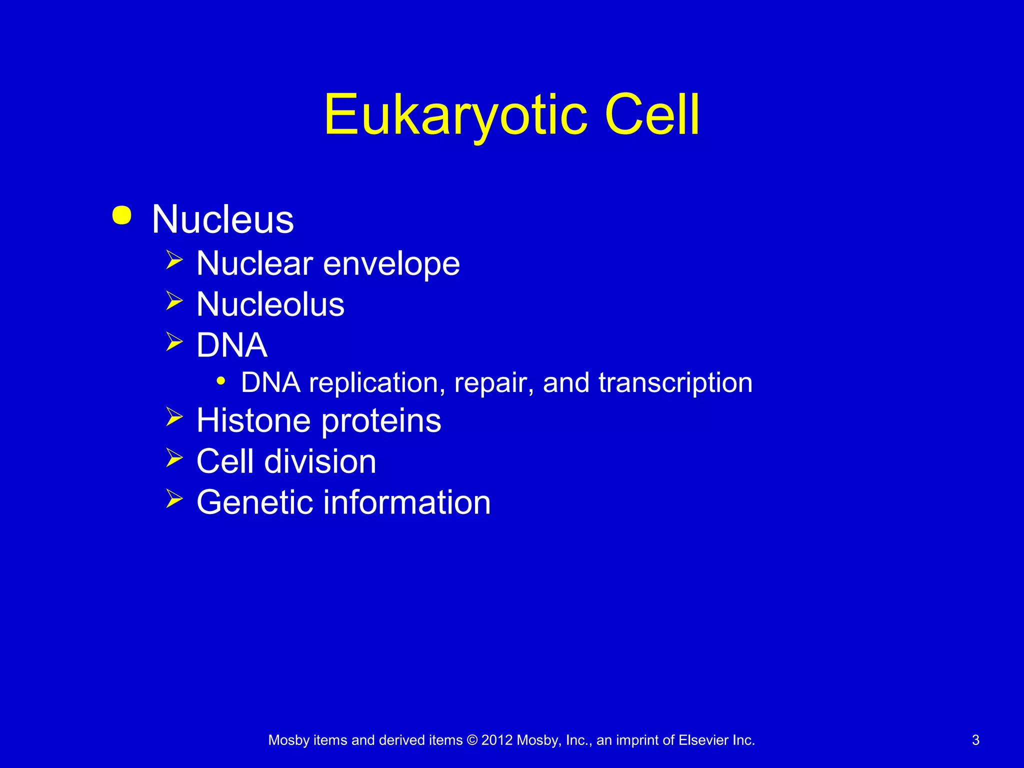 Mosby items and derived items © 2012 Mosby, Inc., an imprint of Elsevier Inc. 3
Eukaryotic Cell
 Nucleus
 Nuclear envelope
 Nucleolus
 DNA
• DNA replication, repair, and transcription
 Histone proteins
 Cell division
 Genetic information
 