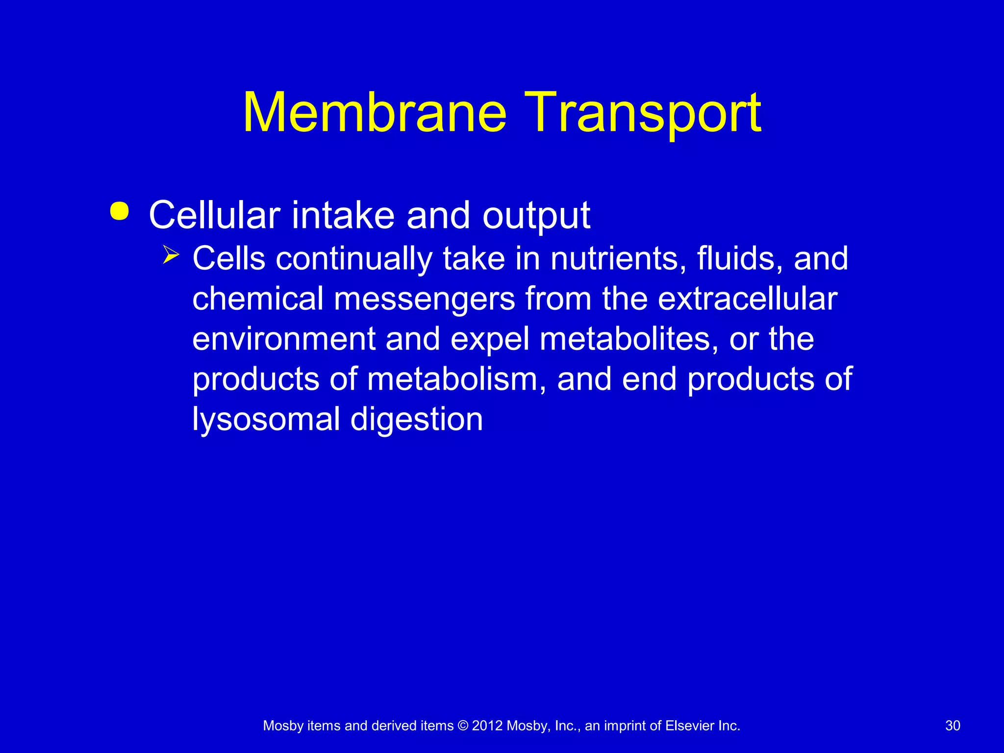 Mosby items and derived items © 2012 Mosby, Inc., an imprint of Elsevier Inc. 30
Membrane Transport
 Cellular intake and output
 Cells continually take in nutrients, fluids, and
chemical messengers from the extracellular
environment and expel metabolites, or the
products of metabolism, and end products of
lysosomal digestion
 