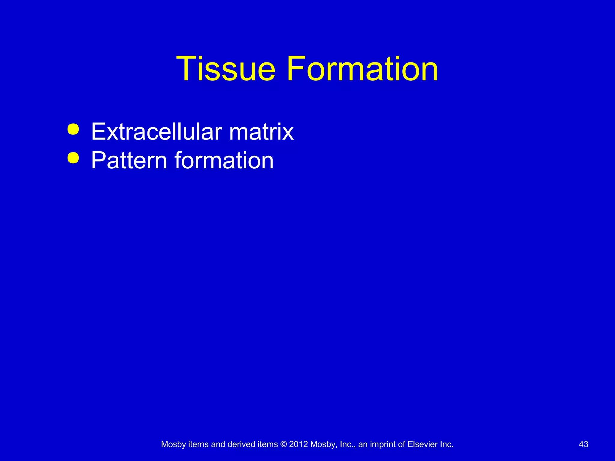 Mosby items and derived items © 2012 Mosby, Inc., an imprint of Elsevier Inc. 43
Tissue Formation
 Extracellular matrix
 Pattern formation
 