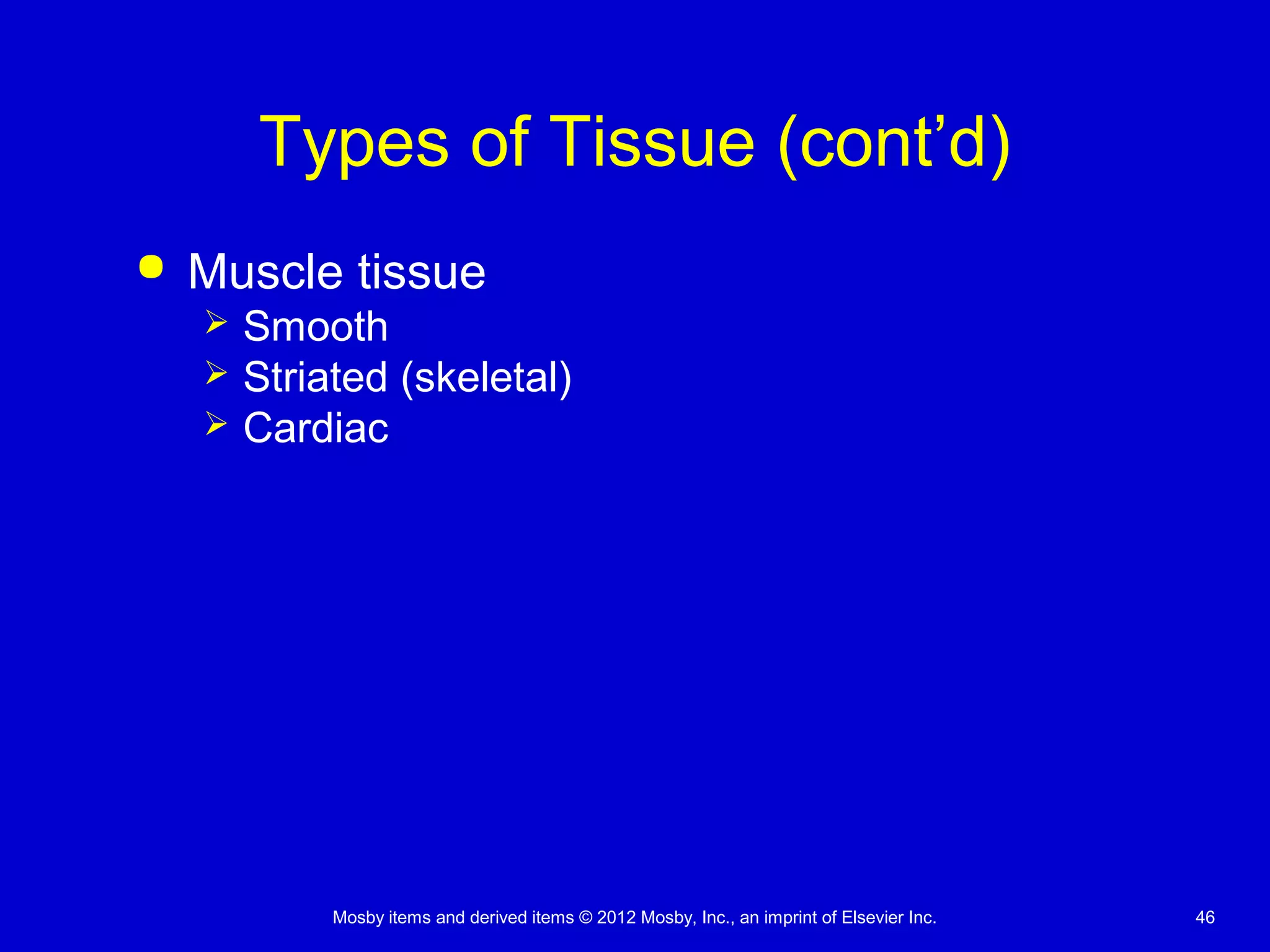 Mosby items and derived items © 2012 Mosby, Inc., an imprint of Elsevier Inc. 46
Types of Tissue (cont’d)
 Muscle tissue
 Smooth
 Striated (skeletal)
 Cardiac
 