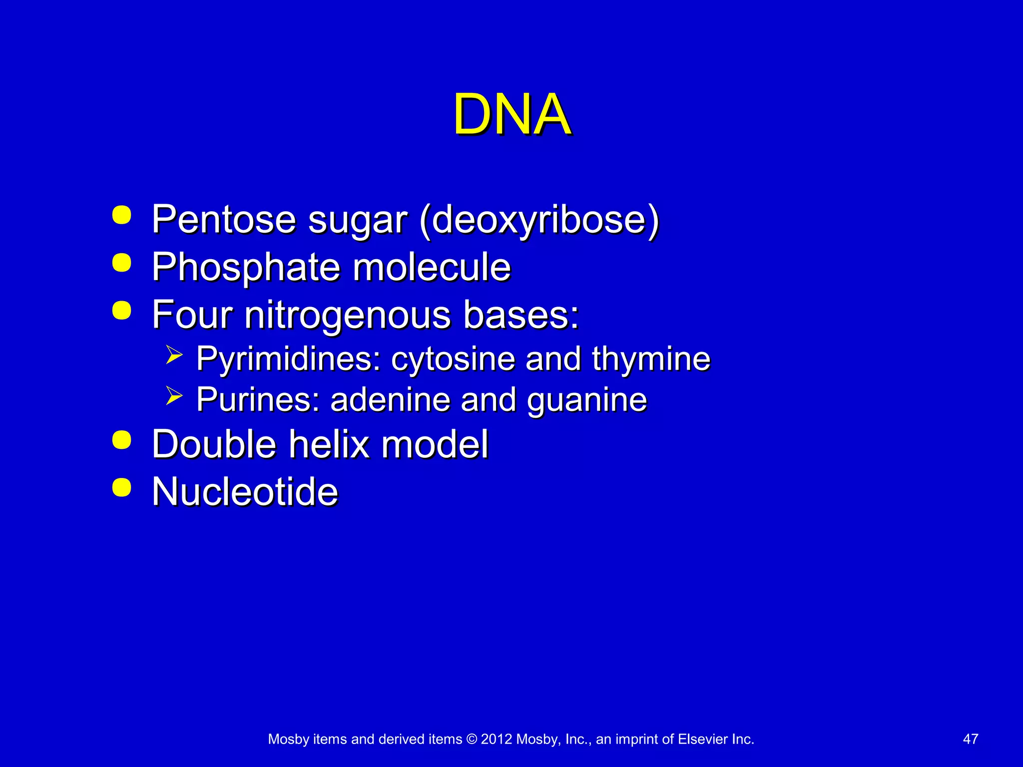 Mosby items and derived items © 2012 Mosby, Inc., an imprint of Elsevier Inc. 47
DNADNA
 Pentose sugar (deoxyribose)Pentose sugar (deoxyribose)
 Phosphate moleculePhosphate molecule
 Four nitrogenous bases:Four nitrogenous bases:
 Pyrimidines: cytosine and thyminePyrimidines: cytosine and thymine
 Purines: adenine and guaninePurines: adenine and guanine
 Double helix modelDouble helix model
 NucleotideNucleotide
 