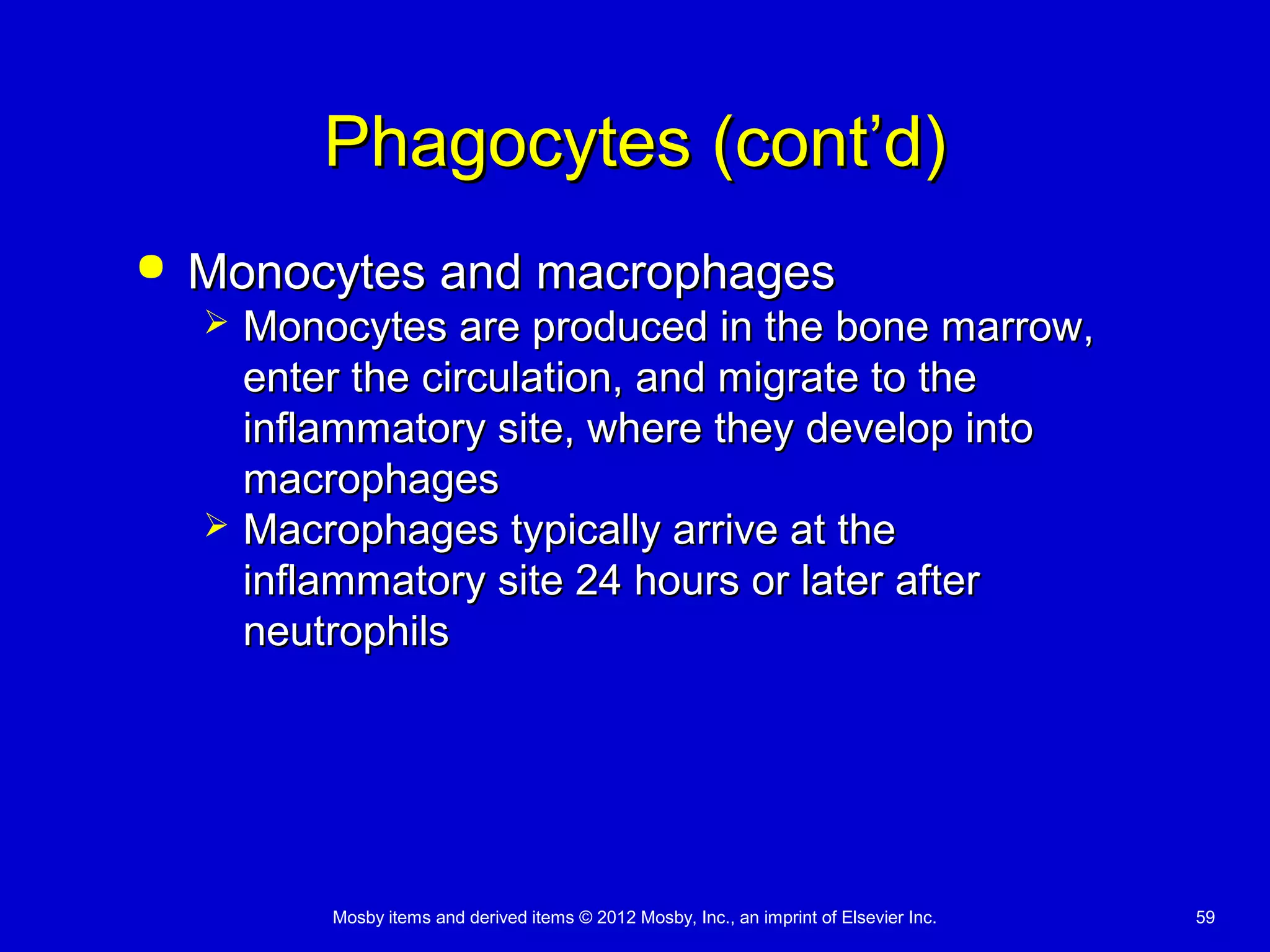 Mosby items and derived items © 2012 Mosby, Inc., an imprint of Elsevier Inc. 59
Phagocytes (cont’d)Phagocytes (cont’d)
 Monocytes and macrophagesMonocytes and macrophages
 Monocytes are produced in the bone marrow,Monocytes are produced in the bone marrow,
enter the circulation, and migrate to theenter the circulation, and migrate to the
inflammatory site, where they develop intoinflammatory site, where they develop into
macrophagesmacrophages
 Macrophages typically arrive at theMacrophages typically arrive at the
inflammatory site 24 hours or later afterinflammatory site 24 hours or later after
neutrophilsneutrophils
 