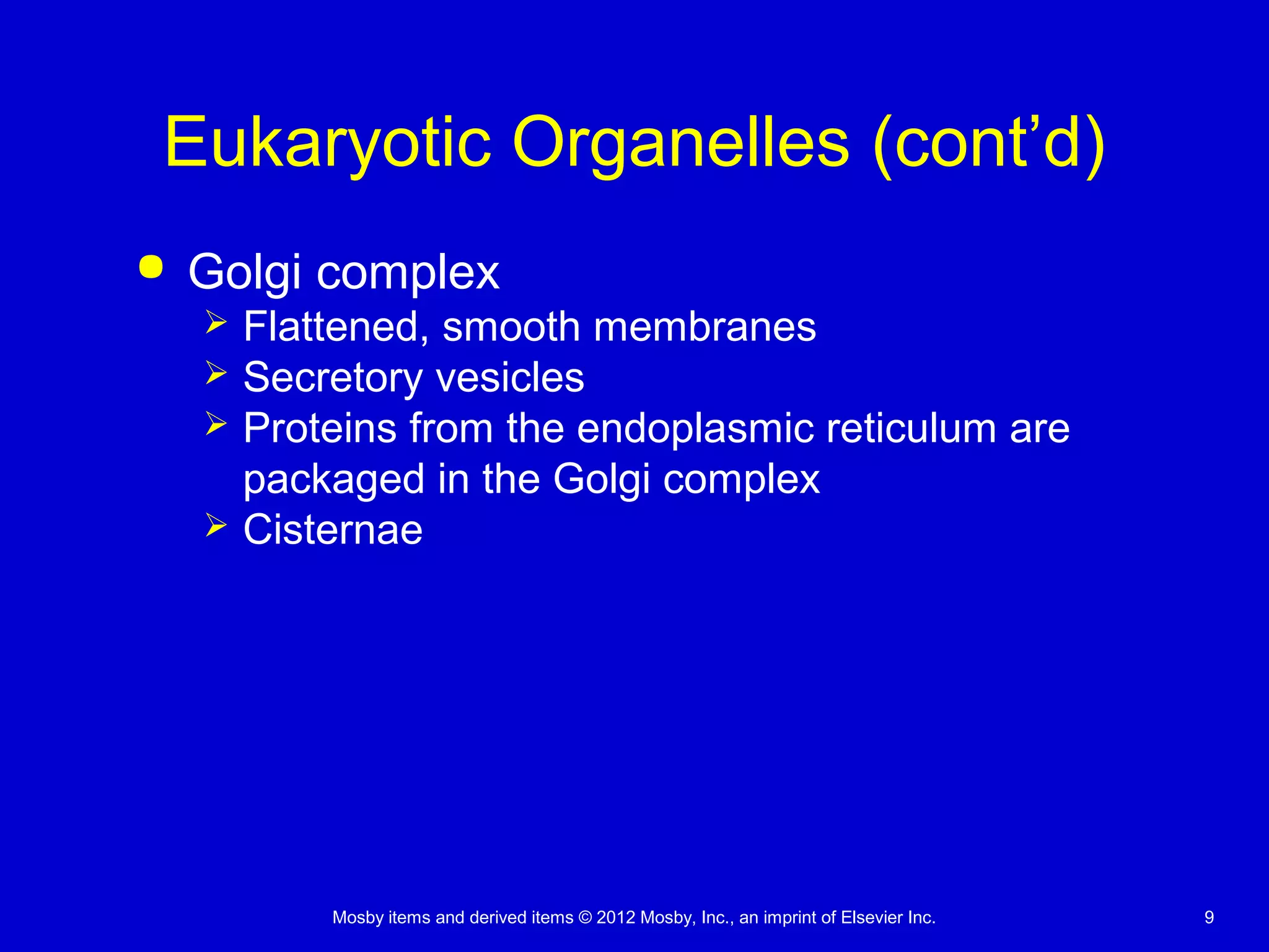 Mosby items and derived items © 2012 Mosby, Inc., an imprint of Elsevier Inc. 9
Eukaryotic Organelles (cont’d)
 Golgi complex
 Flattened, smooth membranes
 Secretory vesicles
 Proteins from the endoplasmic reticulum are
packaged in the Golgi complex
 Cisternae
 