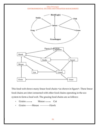 Ishan Dewangan
ENVIRONMENTAL STUDIES AND DISASTER MANAGEMENT
59
This food web shows many linear food chains <as shown in figure>. These linear
food chains are inter connected with other food chains operating in the eco
system to form a food web. The grazing food chains are as follows:
• Grains Mouse Cat
• Grains Mouse Hawk
Bird(Eagle)
Snake
Frog
Grasshopper
Grass
Fish
Insect
Figure: F ood Web
Hawk
Sparrow
Snake
Lizard
Insect
Grass
Grain
Mouse
Cat
 
