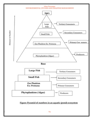 Ishan Dewangan
ENVIRONMENTAL STUDIES AND DISASTER MANAGEMENT
64
Figure: Pyramid of numbers in an aquatic (pond) ecosystem
Tertiary Consumers
Secondary Consumers
Primary Con sumers
Producers
Large
Fish
Small Fish
Zoo Plankton Ex: Protozoa
Phytoplankton (Algae)
Apex
Small Fish
Zoo Plankton
Ex: Protozoa
Phytoplankton (Algae)
Large Fish
Producers
Primary Consumers
Secondary Consumers
Tertiary Consumers
Base
 
