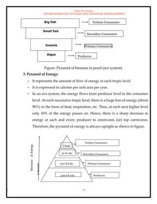 Ishan Dewangan
ENVIRONMENTAL STUDIES AND DISASTER MANAGEMENT
70
Figure: Pyramid of biomass in pond (eco system)
3. Pyramid of Energy:
• It represents the amount of flow of energy in each tropic level.
• It is expressed in calories per unit area per year.
• In an eco system, the energy flows from producer level to the consumer
level. At each successive tropic level, there is a huge loss of energy (about
90%) in the form of heat, respiration, etc. Thus, at each next higher level
only 10% of the energy passes on. Hence, there is a sharp decrease in
energy at each and every producer to omnivores (or) top carnivores.
Therefore, the pyramid of energy is always upright as shown in figure.
Big fish
Small fish
Insects
Algae
Producers
Primary Consumers
Secondary Consumers
Tertiary Consumers
Tertiary Consumers
Secondary Consumers
Primary Consumers
Producers
5 Kcals
50 K cals
500 K Cals
5000 K cals
 