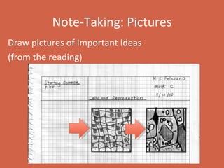 Note-Taking: Pictures Draw pictures of Important Ideas  (from the reading) 
