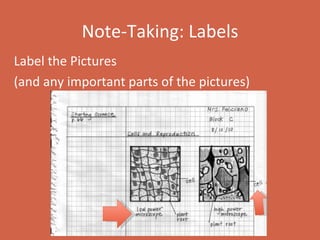 Note-Taking: Labels Label the Pictures  (and any important parts of the pictures) 