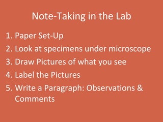 Note-Taking in the Lab Paper Set-Up Look at specimens under microscope Draw Pictures of what you see Label the Pictures Write a Paragraph: Observations & Comments 