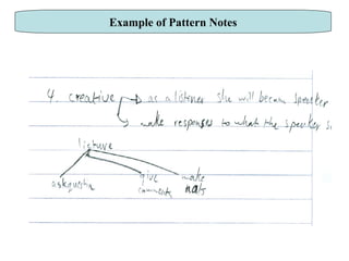 Example of Pattern Notes 