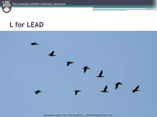 L for LEADThe University of British Columbia | VancouverNot Canadain Geese! | Flickr - Photo Sharing! (n.d.). . Retrieved February 22, 2011, from http://www.flickr.com/photos/strangeones/535161687/