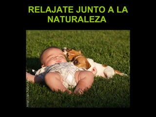 RELAJATE JUNTO A LA NATURALEZA   