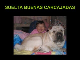 SUELTA BUENAS CARCAJADAS   