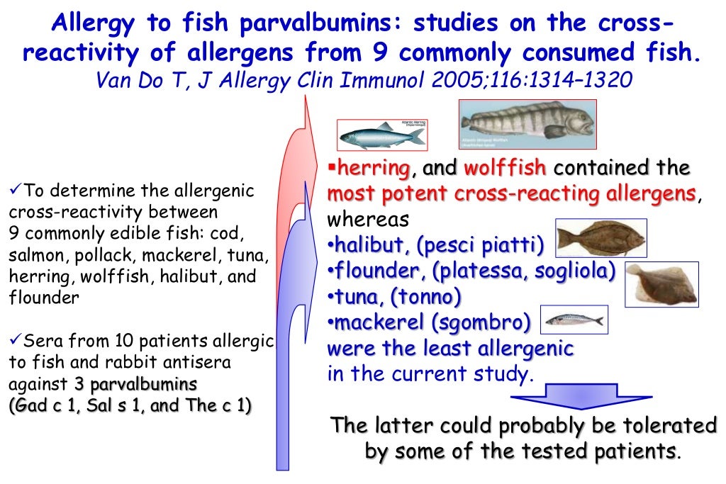 Not every seafood allergy is allergy