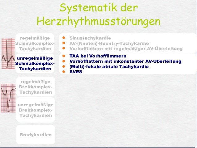 book elektromagnetische vertraglichkeit