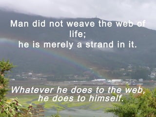Man did not weave the web of life; he is merely a strand in it. Whatever he does to the web, he does to himself. 