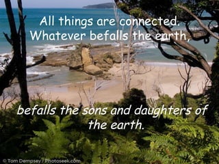 All things are connected. Whatever befalls the earth, befalls the sons and daughters of the earth. 