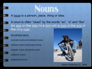 Nouns | PPT