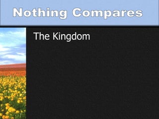 Nothing Compares The Kingdom 