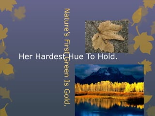 Her Hardest Hue To Hold.Nature’s First Green Is Gold.