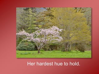 Her hardest hue to hold.
 