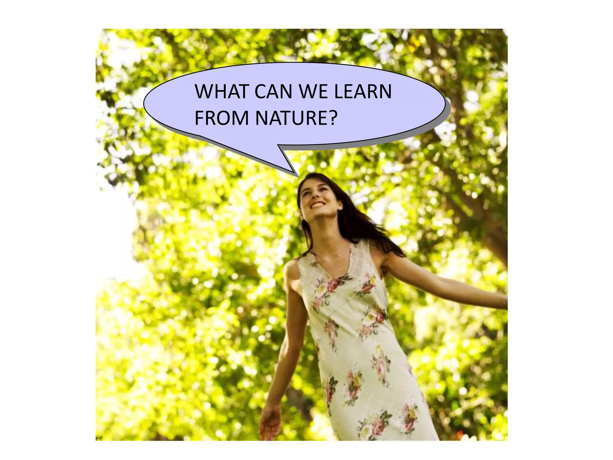 WHAT CAN WE LEARN
FROM NATURE?