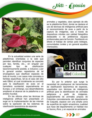 07
animales y vegetales, claro ejemplo de ello
es la plataforma Ebird, donde se destaca el
uso de técnicas de inteligencia artificial para
el reconocimiento de aves a partir de la
captura de imágenes, sea a través de
dispositivos móviles con calidad fotográfica
destacable o de preferencia equipos
profesionales para tal función. Facilitando en
efecto el trabajo de campo para biólogos,
comunidades rurales y en general aquellos
interesados.
Es por lo anterior que surge la
necesidad de predisponer de herramientas
de clasificación taxonómica de especies,
soportados con técnicas de inteligencia
artificial para la identificación de animales
peligrosos a partir de imágenes,
especialmente de animales propios de
Colombia concretamente del departamento
de Caquetá, espacio con una amplia zona
de superficie de región amazónica, cualidad
que hace del departamento un habitad rico
en fauna y flora, y en especial en animales
En la actualidad existen una serie de
plataformas orientadas a la web que
permiten identificar conjuntos de especies
por tipo, familia, etc.., en singular por
cualquier tipo de clasificación
taxonómicamente posible, e inclusive y por
lo general existen repositorios de tal
envergadura que clasifican especies de
todo el mundo, o en casos más concretos a
familias específicas, tal es el caso del sitio
web EBird, el cual inicialmente se concretó
para la clasificación de aves en el
hemisferio occidental, especialmente en
Europa, y sin embargo, sus desarrolladores
ampliaron el alcance de la plataforma a un
ámbito mundial.
En los últimos años las técnicas de
inteligencia artificial han presentado un
auge en la implementación de las mismas
sobre la operación de los sistemas de
clasificación taxonómica de especies
 