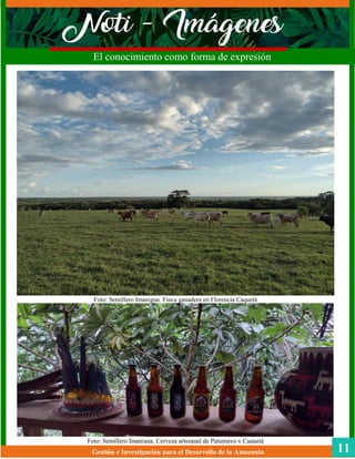 Foto: Semillero Imanigua. Finca ganadera en Florencia Caquetá
Foto: Semillero Imanigua. Cerveza artesanal de Putumayo y Caquetá
Gestión e Investigación para el Desarrollo de la Amazonia
El conocimiento como forma de expresión
11
 