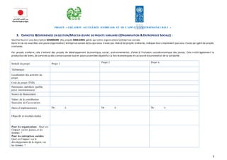 PROJET « CRÉATION ACCÉLÉRÉE D’EMPLOIS ET DE L’APPUI À L’ENTREPRENEURIAT » 
5 
3. CAPACITES &EXPERIENCES EN GESTION/MISE EN OEUVRE DE PROJETS SIMILAIRES (ORGANISATION & ENTREPRISES SOCIALE) : 
Veuillez fournir une description SOMMAIRE des projets SIMILAIRES gérés par votre organisation/ entreprises sociale. 
Dans le cas où vous êtes une jeune organisation/ entreprise sociale et/ou qu e vous n’avez pas réalisé de projets similaires, indiquez tout simplemen t que vous n’avez pas géré d e projets 
similaires. 
Par projets similaire, cela s’entend des projets de dével oppement économique, social, environnemen tal, d’aide à l’inclusion socioéconomique des jeunes. Cela inclût égalemen t la 
production de biens, de services ou des connaissances tout en poursuivant des objectifs à la fois économiques et sociaux et d e promotion de la solidarité. 
Intitulé du projet : Projet 1 
Projet 2 Projet n 
Thématique : 
Localisation des activités du 
projet : 
Coût du projet (TND) 
Partenaires mobilisés (public, 
privé, internationaux) : 
Source de financement : 
Valeur de la contribution 
financière de l’association : 
Dates d’implémentation : De : à De : à De : à 
Objectifs et résultats réalisé : 
Pour les organisations : Quel est 
l’impact sur les jeunes, et les 
femmes ? 
Pour les entreprises sociales : 
Quel est l’impact sur le 
développement de la région, sur 
les femmes ? 
 