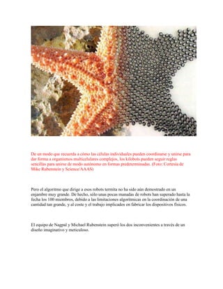 De un modo que recuerda a cómo las células individuales pueden coordinarse y unirse para 
dar forma a organismos multicelulares complejos, los kilobots pueden seguir reglas 
sencillas para unirse de modo autónomo en formas predeterminadas. (Foto: Cortesía de 
Mike Rubenstein y Science/AAAS) 
Pero el algoritmo que dirige a esos robots termita no ha sido aún demostrado en un 
enjambre muy grande. De hecho, sólo unas pocas manadas de robots han superado hasta la 
fecha los 100 miembros, debido a las limitaciones algorítmicas en la coordinación de una 
cantidad tan grande, y al coste y el trabajo implicados en fabricar los dispositivos físicos. 
El equipo de Nagpal y Michael Rubenstein superó los dos inconvenientes a través de un 
diseño imaginativo y meticuloso. 
 