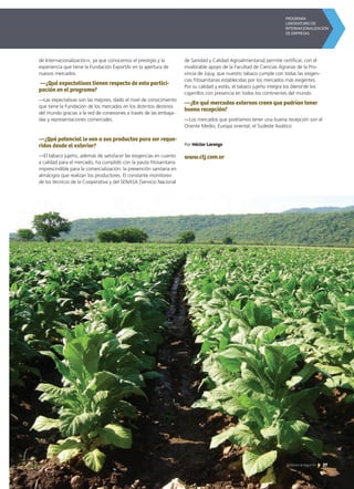 27Noticias de ExportAr
de Internacionalización», ya que conocemos el prestigio y la
experiencia que tiene la Fundación ExportAr en la apertura de
nuevos mercados.
—¿Qué expectativas tienen respecto de esta partici-
pación en el programa?
—Las expectativas son las mejores, dado el nivel de conocimiento
que tiene la Fundación de los mercados en los distintos destinos
del mundo gracias a la red de conexiones a través de las embaja-
das y representaciones comerciales.
—¿Qué potencial le ven a sus productos para ser reque-
ridos desde el exterior?
—El tabaco jujeño, además de satisfacer las exigencias en cuanto
a calidad para el mercado, ha cumplido con la pauta fitosanitaria
imprescindible para la comercialización: la prevención sanitaria en
almácigos que realizan los productores. El constante monitoreo
de los técnicos de la Cooperativa y del SENASA [Servicio Nacional
de Sanidad y Calidad Agroalimentaria] permite certificar, con el
invalorable apoyo de la Facultad de Ciencias Agrarias de la Pro-
vincia de Jujuy, que nuestro tabaco cumple con todas las exigen-
cias fitosanitarias establecidas por los mercados más exigentes.
Por su calidad y estilo, el tabaco jujeño integra los blend de los
cigarrillos con presencia en todos los continentes del mundo.
—¿En qué mercados externos creen que podrían tener
buena recepción?
—Los mercados que podríamos tener una buena recepción son el
Oriente Medio, Europa oriental, el Sudeste Asiático.
Por Héctor Lorenzo
www.ctj.com.ar
 