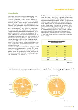 67Noticias de ExportAr
Lima y limón
Los limones y las limas son frutos cítricos ácidos que se dife-
rencian de otras variedades de cítricos por el hecho de que se
consumen, normalmente, con otros alimentos. Además, se
producen, sobre todo, para el mercado de productos frescos, y
el zumo de limones y de limas se utiliza, en especial, para dar
sabor a las bebidas. Los limones suelen producirse en climas
templados, como en el oeste de los Estados Unidos, en España,
en Italia y en la Argentina, pero también se adaptan a climas más
secos, como los de Egipto e Irán. Las limas son muy sensibles a
los climas fríos, razón por la cual se hallan en climas tropicales.
Los productores principales son México y el Brasil (FAO, 2004).
Las exportaciones de lima y de limón son encabezadas por
España, la Argentina y México. Españoles y argentinos son los
más importantes exportadores de limón fresco, mientras que los
mexicanos surgen como los líderes en la venta de limas frescas.
Las importaciones de limones y de limas representan, aproxi-
madamente, el 30 % del consumo mundial. En materia de pro-
ducción y exportación, España y la Argentina se complementan,
ya que, no obstante sus principales mercados están en Europa,
producen en diferentes
estaciones. En el rubro producción industrial, la Argentina e Italia
marcan el ritmo como proveedores de zumos de limón para el
mercado mundial. Del noroeste de nuestro país, surge la más
relevante producción y exportación de limones frescos y jugos
(Tucumán concentra el 88 % del total exportado, seguido por
Salta, con el 5,6 %, y por Jujuy, con el 2,5 %).
En 2013, se sumaron nuevas acciones y eventos de promoción
del sector de las MOI, entre los que se destacan más de 65 ferias
internacionales en las que la Fundación ExportAr, junto con el
Ministerio de Relaciones Exteriores y Culto de la Nación, organiza
el Pabellón Argentino. Dentro del área Promoción de Exporta-
ciones, se formó un equipo especializado en el sector industrial.
Desde el «Programa para la Formación de Consorcios de Expor-
tación», llevado adelante de manera conjunta por la Fundación
ExportAr y la Fundación ICBC, se trabaja desde hace más de
15 años promoviendo la asociación como estrategia clave para
el desarrollo exportador de las pymes argentinas, y el sector
industrial cumple un rol destacado en esta política. Más del 50
% de las exportaciones dentro de este programa corresponde a
bienes de capital.
*Surinam y Guyana, en dólares, y el resto de los países, en millones de dólares.
INFORME FRUTAS CÍTRICAS
Principales destinos de exportaciones argentinas de limón
(2012)
Exportaciones de limón desagregadas por provincia
(2012)
Fuente: Info-Just. Fuente: Info-Just.
 