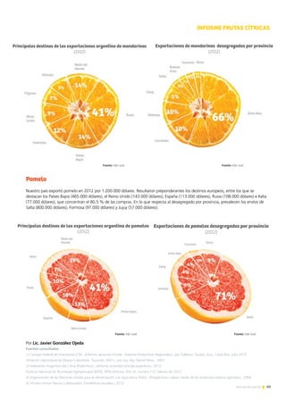 69Noticias de ExportAr
Pomelo
Nuestro país exportó pomelo en 2012 por 1.200.000 dólares. Resultaron preponderantes los destinos europeos, entre los que se
destacan los Países Bajos (465.000 dólares), el Reino Unido (143.000 dólares), España (113.000 dólares), Rusia (108.000 dólares) e Italia
(77.000 dólares), que concentran el 80,5 % de las compras. En lo que respecta al desagregado por provincia, prevalecen los envíos de
Salta (800.000 dólares), Formosa (97.000 dólares) y Jujuy (57.000 dólares).
Por Lic. Javier González Ojeda
Fuentes consultadas
1) Consejo Federal de Inversiones (CFI), «Informe sectorial citrícola. Sistemas Productivos Regionales», por Galliano, Stuarts, Zicis, Costa Ríos, julio 2013.
«Estación Agroindustrial Obispo Colombres. Tucumán 2001», por Ing. Agr. Daniel Pérez, 2001.
2) Federación Argentina del Citrus (Fedecitrus), «Informe actividad citrícola argentina», 2013.
Instituto Nacional de Tecnología Agropecuaria (INTA), INTA Informa, Año XI, número 122, febrero de 2012.
3) Organización de las Naciones Unidas para la Alimentación y la Agricultura (FAO): «Perspectivas a plazo medio de los productos básicos agrícolas», 2004.
4) «Frutos cítricos frescos y elaborados. Estadísticas anuales», 2012.
INFORME FRUTAS CÍTRICAS
Principales destinos de las exportaciones argentina de mandarinas
(2012)
Exportaciones de mandarinas desagregadas por provincia
(2012)
Principales destinos de las exportaciones argentina de pomelos
(2012)
Exportaciones de pomelos desagregadas por provincia
(2012)
Fuente: Info-Just. Fuente: Info-Just.
Fuente: Info-Just. Fuente: Info-Just.
 