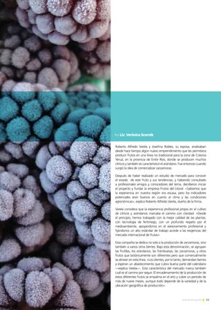 11Noticias de ExportAr
Roberto Alfredo Varela y Josefina Robles, su esposa, analizaban
desde hace tiempo algún nuevo emprendimiento que les permitiera
producir frutos en una línea no tradicional para la zona de Colonia
Yeruá, en la provincia de Entre Ríos, donde se producen muchos
cítricos y también es característico el arándano. Fue entonces cuando
surgió la idea de comercializar zarzamoras.
Después de haber realizado un estudio de mercado para conocer
el estado de este fruto y sus tendencias, y habiendo consultado
a profesionales amigos y conocedores del tema, decidieron iniciar
el proyecto y fundar la empresa Frutos del Litoral. «Sabíamos que
la experiencia en nuestra región era escasa, pero los indicadores
potenciales eran buenos en cuanto al clima y las condiciones
agronómicas», explica Roberto Alfredo Varela, dueño de la firma.
Varela considera que la experiencia profesional propia en el cultivo
de cítricos y arándanos marcaba el camino con claridad. «Desde
el principio, hemos trabajado con la mejor calidad de las plantas,
con tecnología de fertirriego, con un profundo respeto por el
medioambiente, apoyándonos en el asesoramiento profesional y
fijándonos un alto estándar de trabajo acorde a las exigencias del
mercado internacional de frutas».
Esta compañía se dedica no solo a la producción de zarzamoras, sino
también a varios otros berries. Bajo esta denominación, se agrupan
las frutillas, los arándanos, las frambuesas, las zarzamoras, y otros
frutos que botánicamente son diferentes pero que comercialmente
se alinean en esta línea. «Los clientes, por lo tanto, demandan berries
y esperan un abastecimiento que cubra buena parte del calendario
—explica Varela—. Esta característica del mercado marca también
cuál es el camino por seguir. El encadenamiento de la producción de
estos diferentes frutos se empalma en el año y cubre un período de
más de nueve meses, aunque todo depende de la variedad y de la
ubicación geográfica de producción».
Por Lic. Verónica Scornik
 