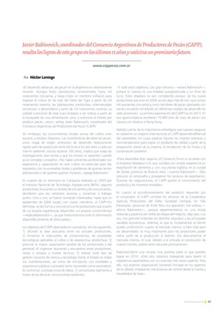 67Noticias de ExportAr
JavierRabinovich,coordinadordelConsorcioArgentinosdeProductoresdePecán(CAPP),
resaltaloslogrosdeestegrupoenlosúltimos11añosyvaticinaunpromisoriofuturo.
www.cappecan.com.ar
Por Héctor Lorenzo
«El desarrollo delanuez de pecán en la Argentina es relativamente
reciente. Aunque hubo plantaciones ornamentales hasta mil
novecientos cincuenta, y luego hubo un meritorio esfuerzo para
ingresar el cultivo en las islas del Delta del Tigre a partir de mil
novecientos sesenta, las plantaciones productivas sistematizadas
comienzan a desarrollarse a partir de mil novecientos noventa. La
calidad nutricional de esta nuez empieza a ser noticia a partir de
la búsqueda de una alimentación sana, y entonces el interés por
producir pecán, crece», señala Javier Rabinovich, coordinador del
Consorcio Argentinos de Productores de Pecán (CAPP).
Sin embargo, los conocimientos locales acerca del cultivo eran
escasos, y estaban dispersos. Las características del árbol de pecán,
único nogal de origen americano de desarrollo relativamente
rápido pero de producción lenta (da fruto a los seis años y cada vez
más en adelante, incluso durante 100 años), implica que todas las
investigaciones sean lentas y que los errores se advierten cuando
ya es complejo corregirlos. «No había suficientes profesionales con
experiencia y capacitación en este cultivo en particular para dar
respuesta a las innumerables dudas y problemas de quienes tenían
plantaciones o de quienes querían iniciarse», agrega Rabinovich.
En ocasión de un seminario en Campana realizado en 2003 por
el Instituto Nacional de Tecnología Agropecuaria (INTA), algunos
productores, buscando un ámbito de encuentro y de comunicación,
decidieron que era necesario reunirse y comenzar a trabajar
juntos. Uno a uno, se fueron sumando interesados, hasta que en
septiembre de 2004 surgió, con nueve miembros, el CAPP.«En
definitiva, se dio forma a una estructura de productores que a partir
de sus propias experiencias desarrollan sus propios conocimientos
—explicaRabinovich—, ya que hasta entonces toda la información
disponible provenía de otros países».
Los objetivos del CAPP, plasmados en suestatuto, son los siguientes:
1) difundir la idea asociativa entre los actuales productores;
2) fomentar el intercambio de conocimientos, de novedades
tecnológicas aplicables al cultivo y de experiencias productivas; 3)
procurar la mayor capacitación posible de los productores y del
personal; 4) organizar reuniones y encuentros entre productores,
visitas a campos y charlas técnicas; 5) realizar todo tipo de
gestión conjunta de ciencia y tecnología frente al Estado en todas
sus manifestaciones, así como de vinculación con entidades y
organismos públicos o privados tanto nacionales como extranjeros;
6) conformar una base única de datos; 7) comunicarse ágilmente a
través de las técnicas comunicativas existentes.
«Y todo estos objetivos, con gran esfuerzo —aclara Rabinovich—,
porque la nuestra es una entidad autogestionada y sin fines de
lucro. Estos objetivos se van cumpliendo porque, de los nueve
productores que eran en 2004, ya son algo más de cien, que suman
mil quinientas cincuenta y cinco hectáreas de pecán plantadas con
ciento cincuenta mil árboles en diferentes estados de desarrollo en
siete provincias». La primera exportación del CAPP fue en 2013. En
esa oportunidad,se vendieron 10.000 kilos de nuez de pecán con
cáscara con destino a Hong Kong.
Habida cuenta de la importancia estratégica que supone asegurar
la calidad en un negocio internacional, el CAPP desarrolló elManual
del exportador, en cuyas páginas figuran las mejores prácticas y
recomendaciones para lograr un producto de calidad a partir de la
preparación previa de la cosecha, la recolección de los frutos y la
conservación posterior.
«Para desarrollar este negocio, el Consorcio firmó un acuerdo con
la empresa Desdelsur S.A.,que contaba con amplia experiencia en
exportación de alimentos y con una planta logística en la ciudad
de Zárate, provincia de Buenos Aires —cuenta Rabinovich—. Ellos
ubicaron al comprador y proveyeron los servicios de exportación.
Durante las negociaciones, el CAPP aportó el conocimiento del
producto y las muestras enviadas».
En cuanto al acondicionamiento del producto requerido por
el comprador, el CAPP contrató los servicios de la Cooperativa
Agrícola Productores del Delta Sociedad Limitada, en Villa
Paranacito, provincia de Entre Ríos.«La operación fue exitosa —
afirma Rabinovich—, porque experimentamos en una escala
reducida y pasamos por todas las etapas del negocio, algo que, a su
vez, nos permitió entender los distintos requisitos y las principales
variables económicas. Además, lo que es fundamental: el cliente
quedó conforme.En cuanto al mercado interno, si bien está para
ser desarrollado, es muy importante para los productores poder
volcar parte de la producción al exterior. Eso descomprime el
mercado interno, el cual, debido a la entrada en producción de
nuevos montes, podría verse saturado prontamente».
Rabinovichtiene una mirada muy positiva sobre lo que pueden
lograr en 2014: «Este año, estamos trabajando para repetir la
experiencia exportadora con un volumen tres veces superior. Para
ello, nos estamos organizando haciendo hincapié en los aspectos
de la calidad, empleando mecanismos de control desde la fuente y
trazabilidad de lotes».
 